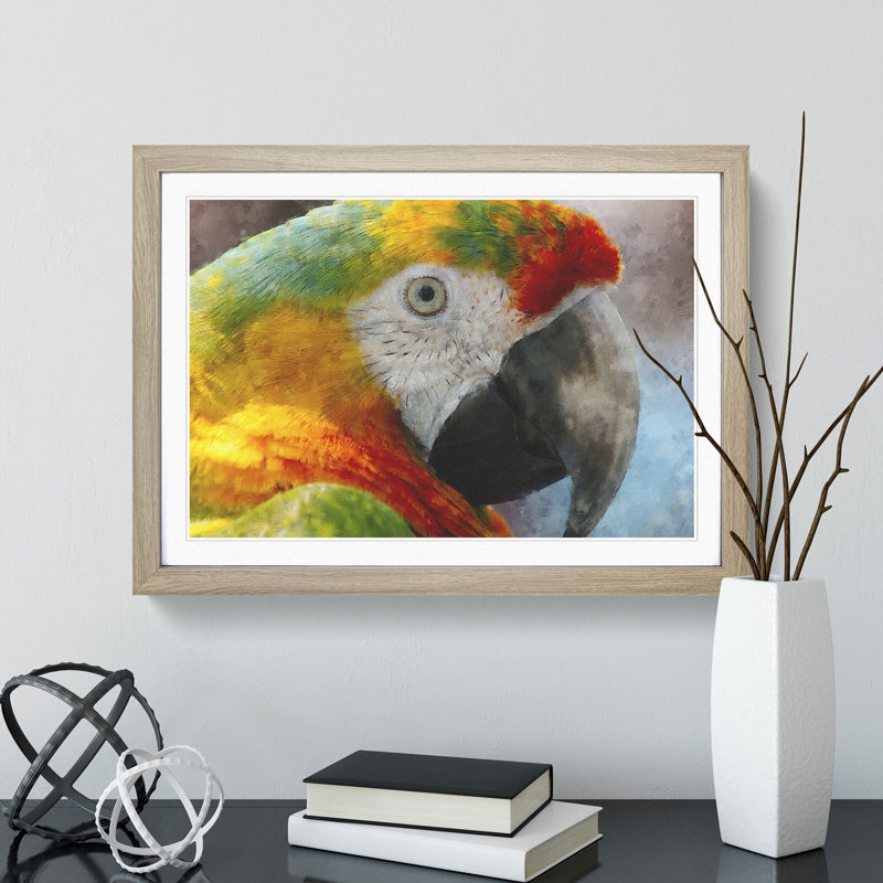 A Macaw Parrot - Picture Frame Graphic Art, 36cm H x 48cm W x 2cm D, Oak Framed