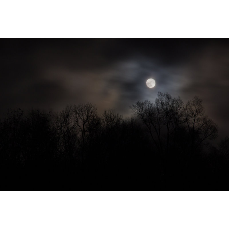 " Full Moon Over Bare Trees ", 12" H x 18" W  