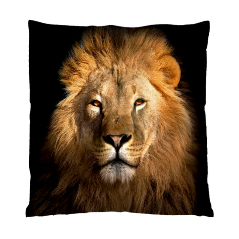 Jazlynn Square Cushion Cover