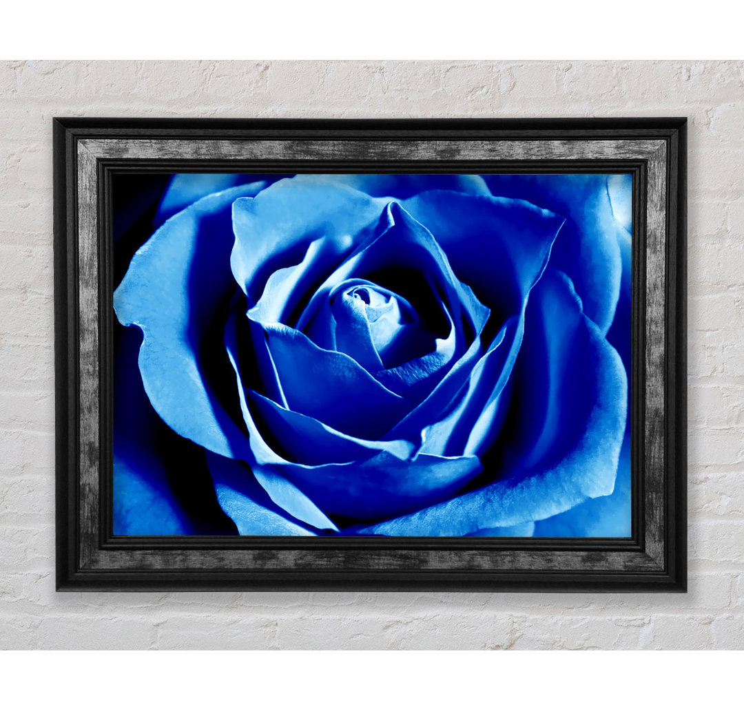 Gerahmtes Leinwandbild Blue Rose Petal