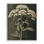 Portrait floral sophistiqué, estampe numérique, design par Petal Prints Design-1553626443-1553626447