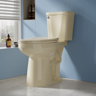 Bllo 21" Extra Tall Two-Piece Toilet 1.28 GPF Single Flush Elongated with Soft-Close Seat