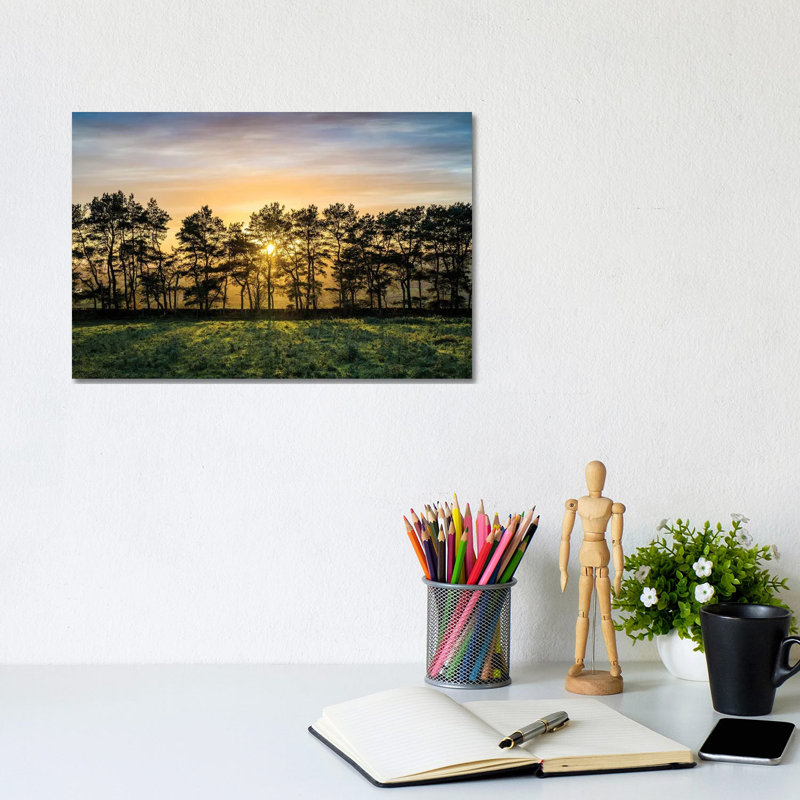 Autumn Tree Peak District UK by Stephen Hodgetts - No Frame Gallery-Wrapped Canvas Giclée on Canvas, 20.32cm H x 30.48cm W