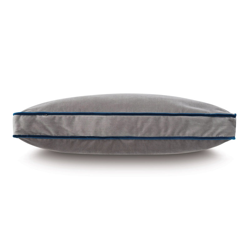 Uma Velvet Pillow Cover & Insert, Gray