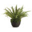 Analea Faux Foliage Plant in Vase