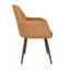 Velvet Armchair-559042240-559042255
