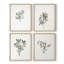 «Vintage Floral Print», impression encadrée CCI - ensemble de 4-2086759046-2086759044
