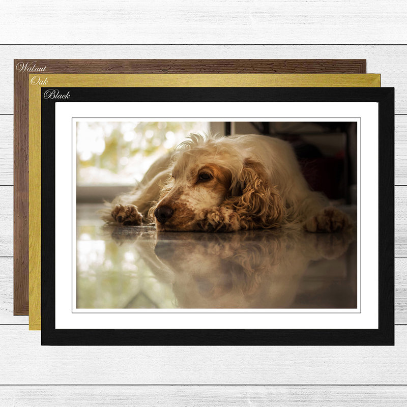 Single Picture Frame Print, Black