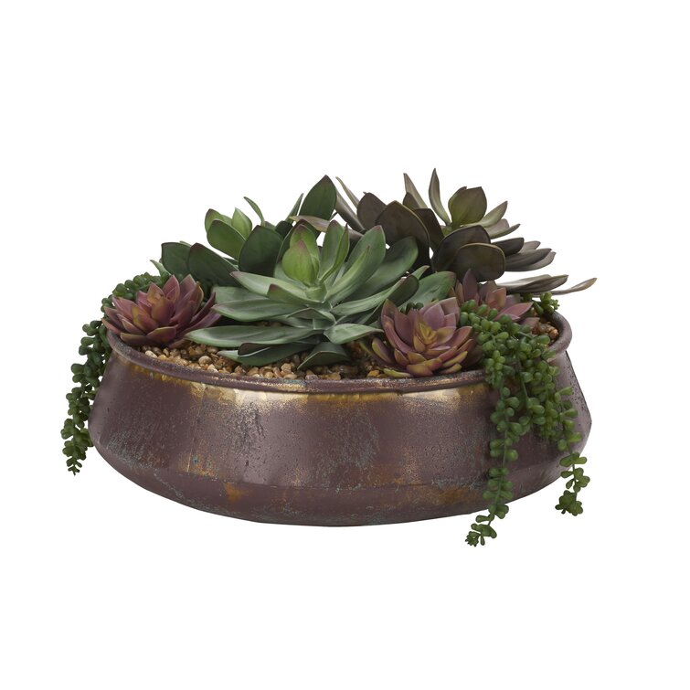 Assorted Echeveria And Cedum In Aged Copper Bowl- BOWL CRACKED, SOME STONES LOOSE