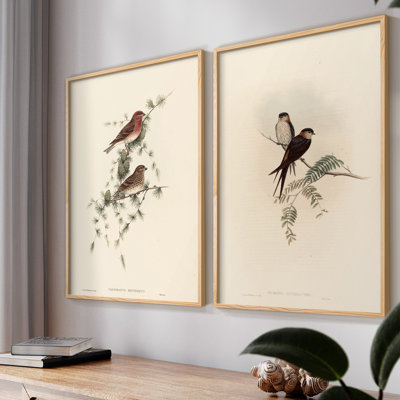 Vintage  Animal III  -Framed Giclee Print - Set of 2