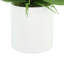 Orchids Arranged in Fiberstone Planter-427188119