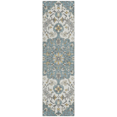 Machine Washable Indoor/Outdoor Chantille ACN2463 Traditional Rug