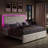 
Gerasim Bed Frame with Two Storage Drawers & LED Headboard Acrylic Mirrored,Velvet Upholstered Platform Bed-2123045527-2123045523