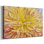 Toile tendue Blooms III-Gallery-933196699