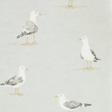 Shore Birds Wallpaper