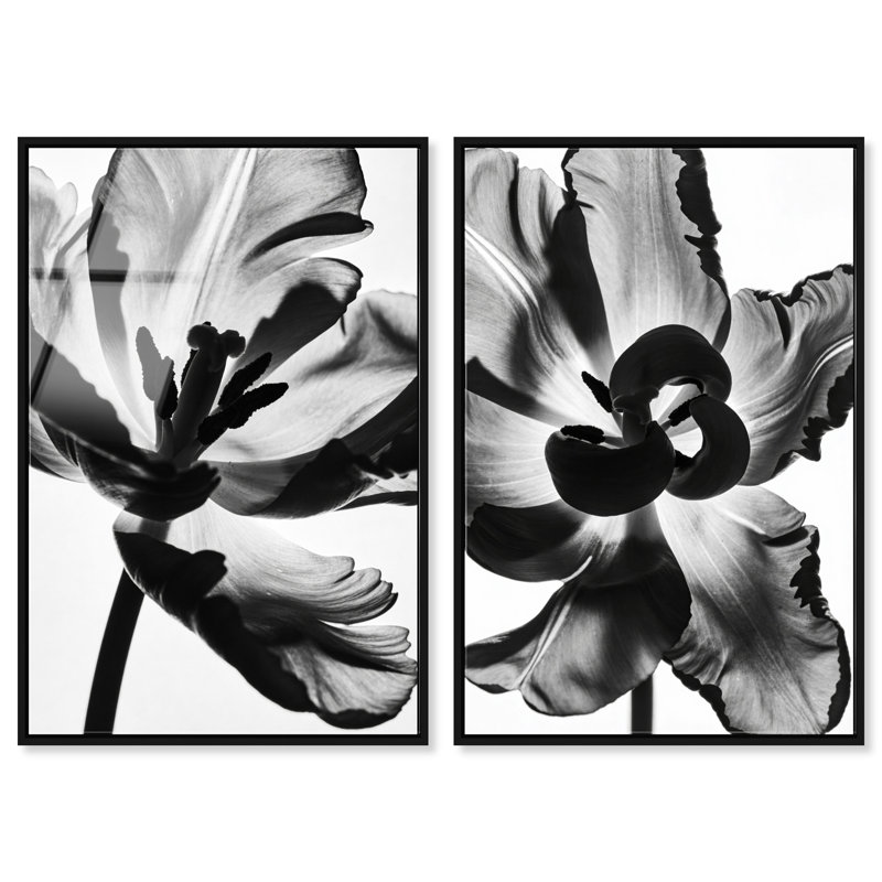 Close Up Set Set by Oliver Gal, 46" H x 31" W, Black Floater Frame