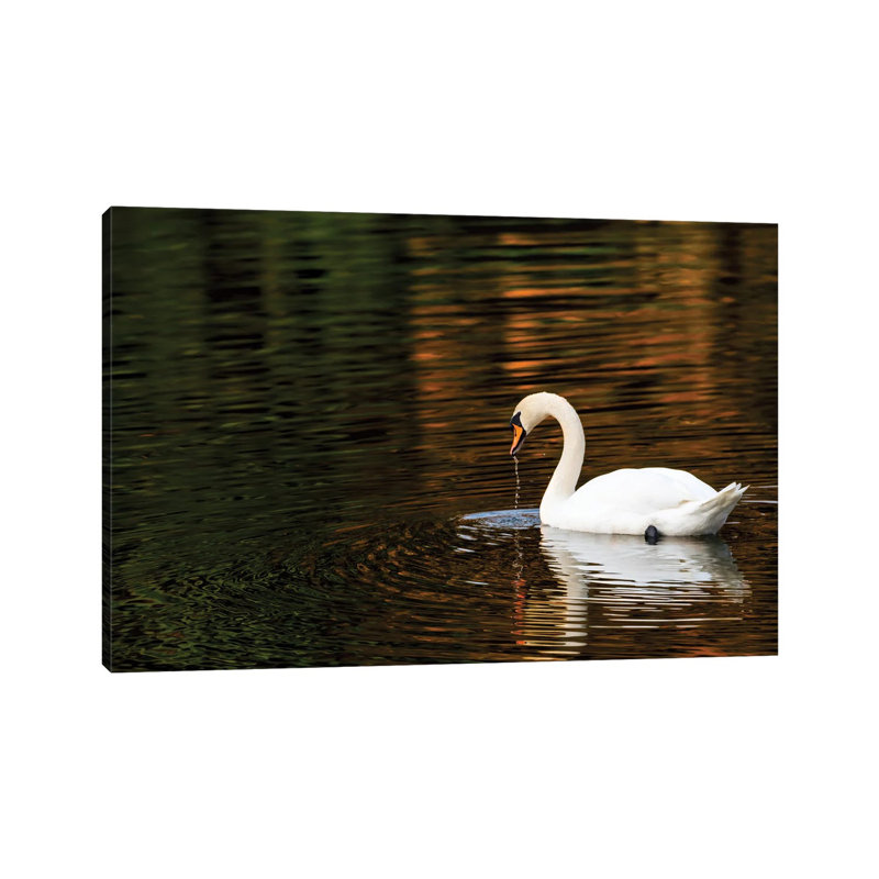 Autumn Reflections by David Gardiner - Wrapped Canvas Print, 20.32cm H x 30.48cm W