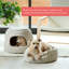 Lit gigogne convertible pour chat et chien Ilan Best Friends par Sheri-40809486-40809487