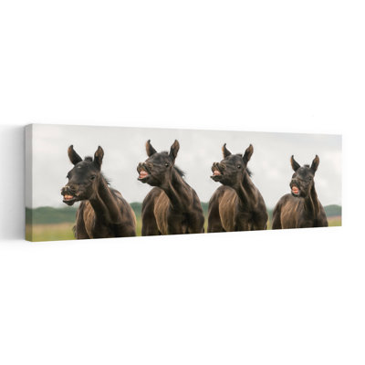 Laughing Foals 1 Piece Wrapped Canvas Panoramic Wall Art