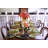 Hartley Appetizer Plate - Lime - 7.1"-2013026512