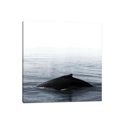 Whale Song III Blue Iceland Square by Monika Strigel - Wrapped Canvas Print