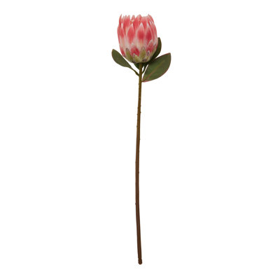 Fiori Protea Arrangement