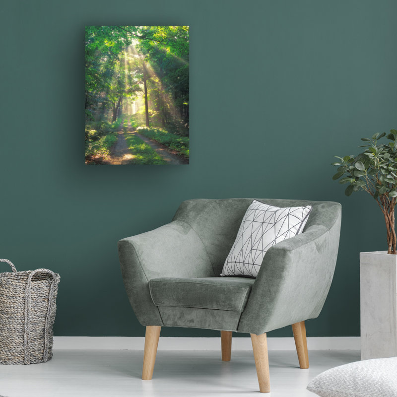 Brinly Forest Sunshine sur toile, H 19 po x l 14 po x P 2 po