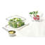 Glass Food Storage Container