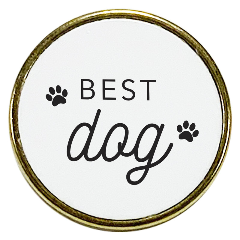 Épinglette Best Dog