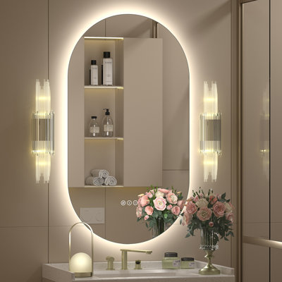Aevar LED Lighted Wall Mirror