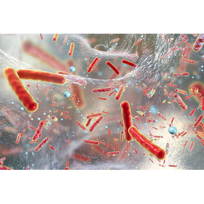 " Multidrug Resistant Bacteria Inside A Biofilm " by Dr_Microbe