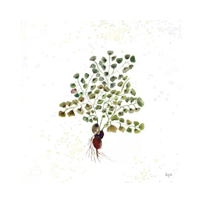 Botticelli Plants Ii by Kristy Rice - Wrapped Canvas Gallery-Wrapped Canvas Giclée