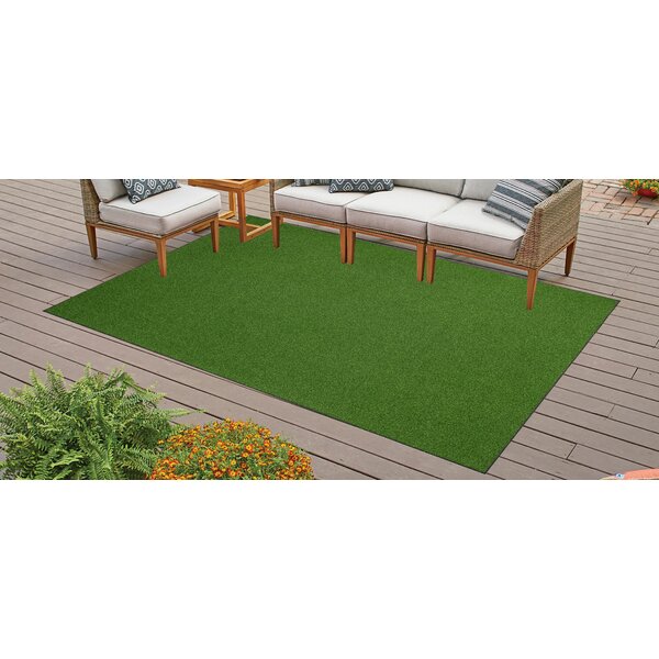 Heavy Duty Anti Skid Backing Turf Ambient Rugs Size: 12' x 12