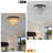 Flush Mount-109101515
