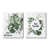 Toile tendue