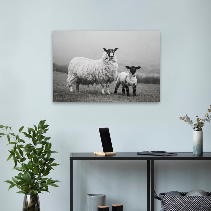 Ferme moderne avec moutons Islay I, H 24 po x l 16 po