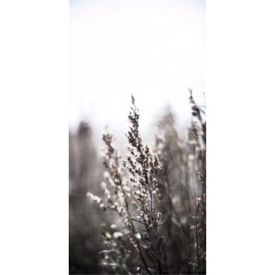 Bear Lake Foliage I by Chris Dunker - Graphic Art