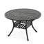 Table de salle à manger extensible pour l'extérieur-107238385
