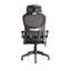 Aldarcy Polyester Blend Task Chair with Headrest-2021502703