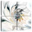 Abstrait fleur blanche-1008867416