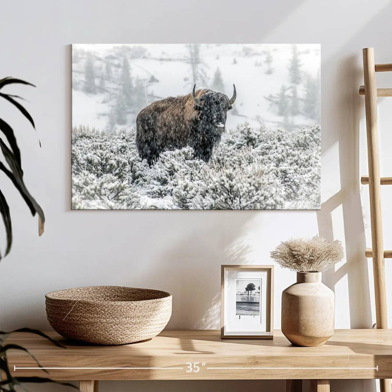 Brampt Lamar Valley Bison, 16" H x 24" W
