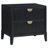 Ilkka 2-drawer Nightstand