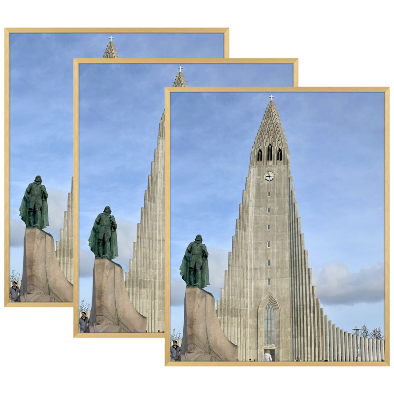 Drennon Metal Picture Frame - Set of 3, Gold, 24'' x 36''