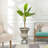 Valetta Handmade Urn Planter-1161436377