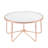 Single Coffee Table