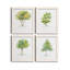 L'arbre I - ensemble de 4 reproductions d'art encadrées-1496819695-1506622916-1506622940