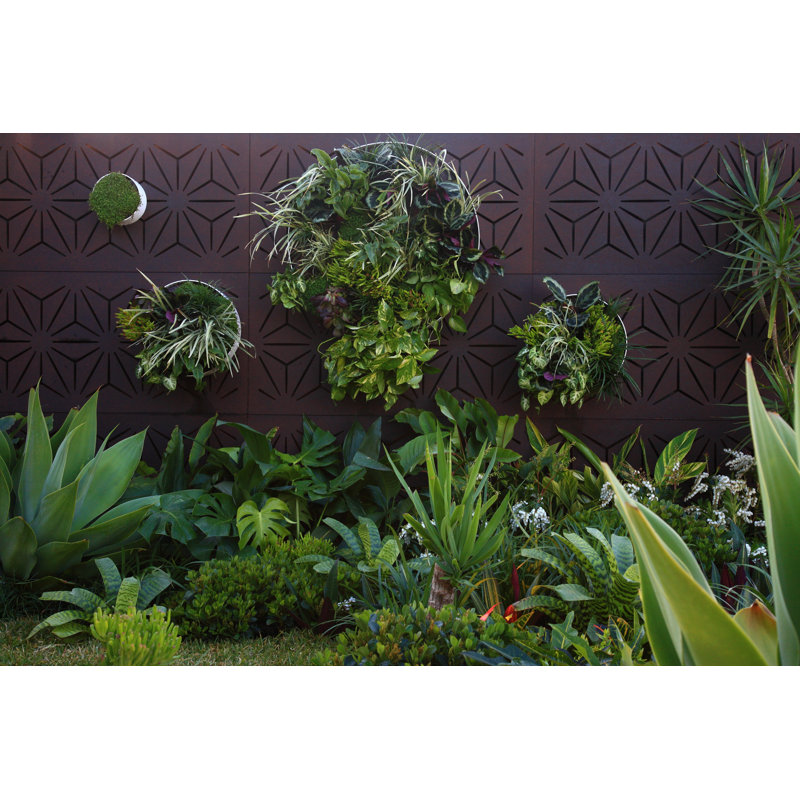 48'' H x 24'' W Brown Composite Fence Panels
