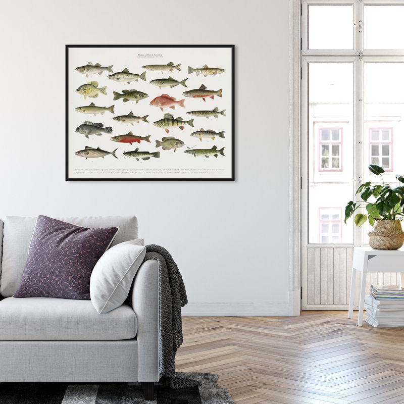 " American Fish " Painting Print, 24" H x 20" W, Black Framed