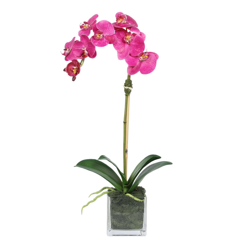 Orchid Arrangement In Square Glass Vase, Pink