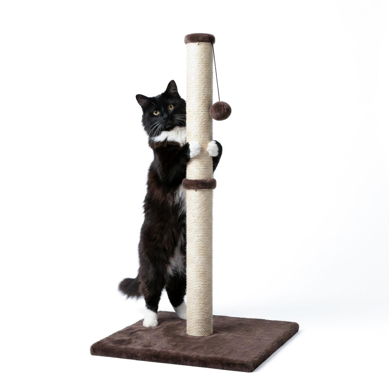 Scratching Post